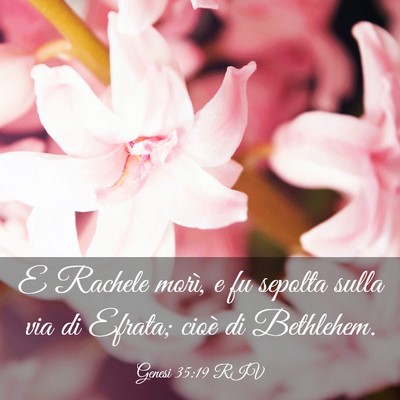 Picture 03 - Genesi 35:19 RIV - E Rachele morì, e fu sepolta sulla via di - Bible Verse Picture