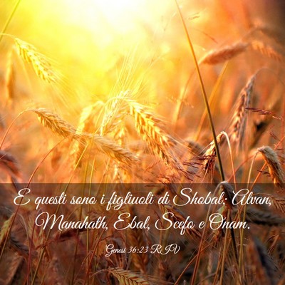 Picture 03 - Genesi 36:23 RIV - E questi sono i figliuoli di Shobal: Alvan, - Bible Verse Picture