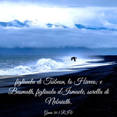 Picture 03 - Genesi 36:3 RIV - figliuola di Tsibeon, lo Hivveo; e Basmath, - Bible Verse Picture