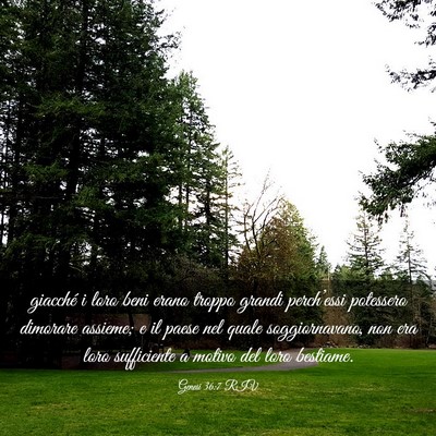 Picture 03 - Genesi 36:7 RIV - giacché i loro beni erano troppo grandi - Bible Verse Picture