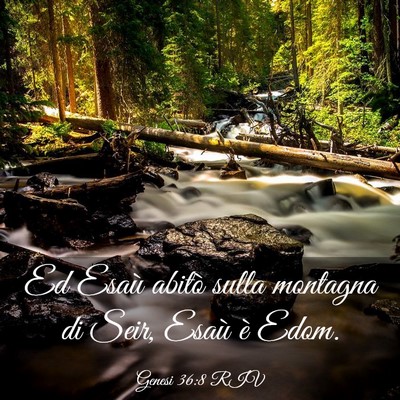 Picture 03 - Genesi 36:8 RIV - Ed Esaù abitò sulla montagna di Seir, Esaù è - Bible Verse Picture