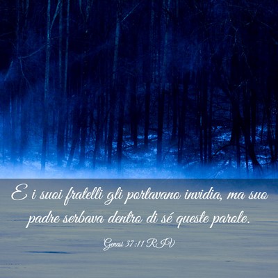 Picture 03 - Genesi 37:11 RIV - E i suoi fratelli gli portavano invidia, ma suo - Bible Verse Picture