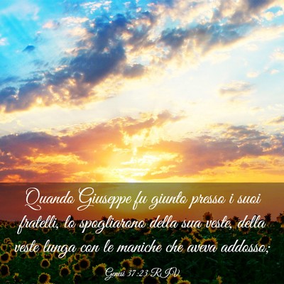 Picture 03 - Genesi 37:23 RIV - Quando Giuseppe fu giunto presso i suoi fratelli, - Bible Verse Picture
