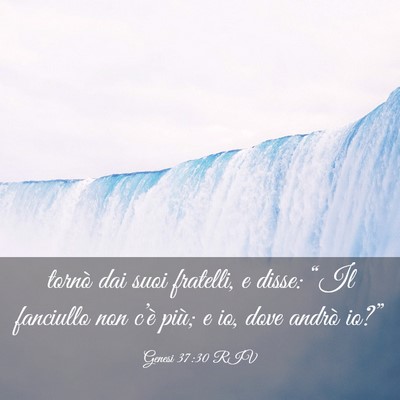 Picture 03 - Genesi 37:30 RIV - tornò dai suoi fratelli, e disse: “Il - Bible Verse Picture