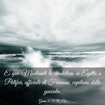 Picture 03 - Genesi 37:36 RIV - E que’ Madianiti lo vendettero in Egitto a - Bible Verse Picture