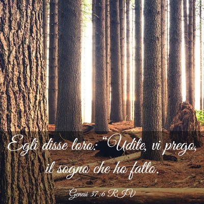 Picture 03 - Genesi 37:6 RIV - Egli disse loro: “Udite, vi prego, il sogno che - Bible Verse Picture