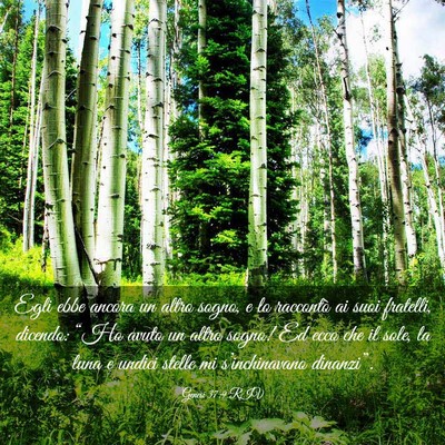 Picture 03 - Genesi 37:9 RIV - Egli ebbe ancora un altro sogno, e lo raccontò - Bible Verse Picture