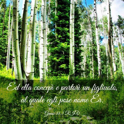 Picture 03 - Genesi 38:3 RIV - Ed ella concepì e partorì un figliuolo, al - Bible Verse Picture