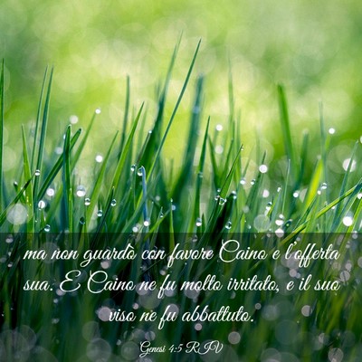 Picture 03 - Genesi 4:5 RIV - ma non guardò con favore Caino e l’offerta - Bible Verse Picture