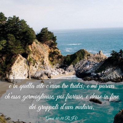 Picture 03 - Genesi 40:10 RIV - e in quella vite c’eran tre tralci; e mi pareva - Bible Verse Picture