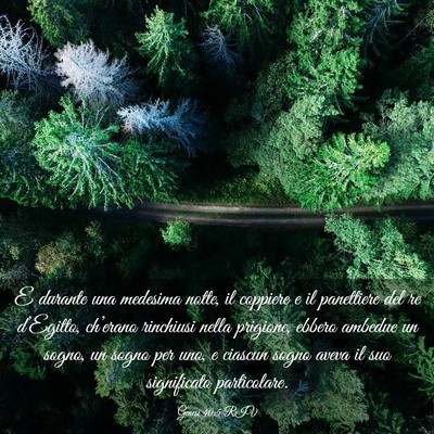 Picture 03 - Genesi 40:5 RIV - E durante una medesima notte, il coppiere e il - Bible Verse Picture