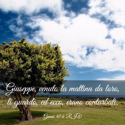 Picture 03 - Genesi 40:6 RIV - Giuseppe, venuto la mattina da loro, li guardò, - Bible Verse Picture