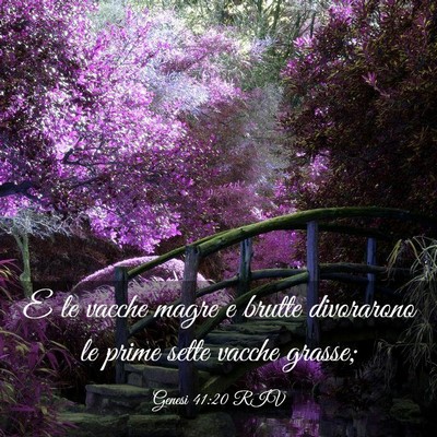 Picture 03 - Genesi 41:20 RIV - E le vacche magre e brutte divorarono le prime - Bible Verse Picture