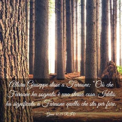 Picture 03 - Genesi 41:25 RIV - Allora Giuseppe disse a Faraone: “Ciò che - Bible Verse Picture
