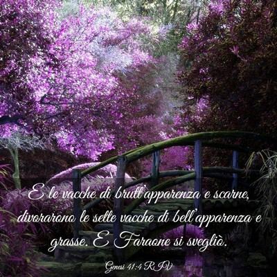 Picture 03 - Genesi 41:4 RIV - E le vacche di brutt’apparenza e scarne, - Bible Verse Picture