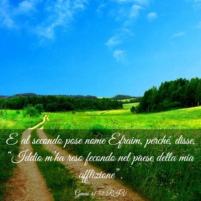 Picture 03 - Genesi 41:52 RIV - E al secondo pose nome Efraim, perché, disse, - Bible Verse Picture