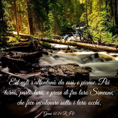 Picture 03 - Genesi 42:24 RIV - Ed egli s’allontanò da essi, e pianse. Poi - Bible Verse Picture
