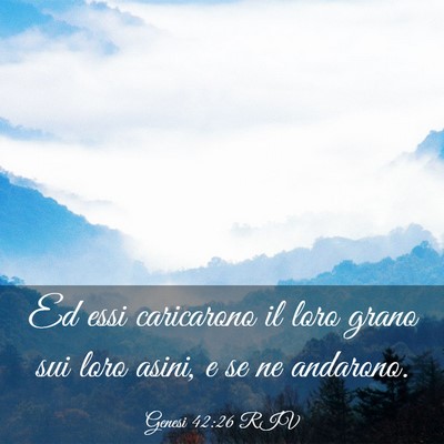 Picture 03 - Genesi 42:26 RIV - Ed essi caricarono il loro grano sui loro asini, - Bible Verse Picture
