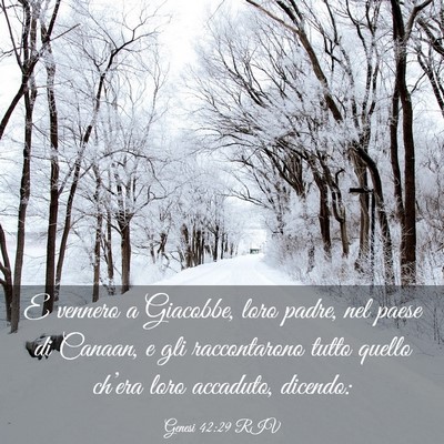 Picture 03 - Genesi 42:29 RIV - E vennero a Giacobbe, loro padre, nel paese di - Bible Verse Picture