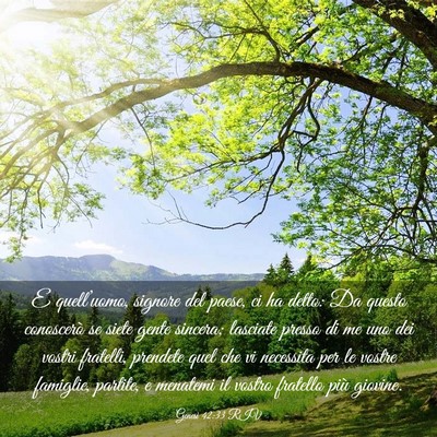 Picture 03 - Genesi 42:33 RIV - E quell’uomo, signore del paese, ci ha detto: - Bible Verse Picture