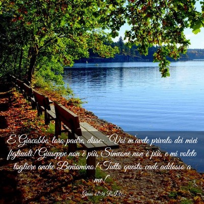 Picture 03 - Genesi 42:36 RIV - E Giacobbe, loro padre, disse: “Voi m’avete - Bible Verse Picture