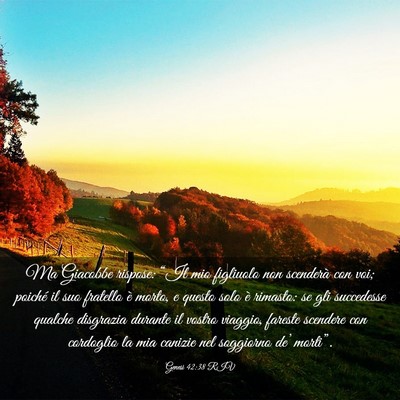 Picture 03 - Genesi 42:38 RIV - Ma Giacobbe rispose: “Il mio figliuolo non - Bible Verse Picture