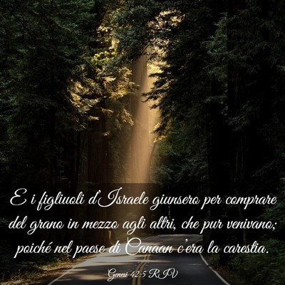 Picture 03 - Genesi 42:5 RIV - E i figliuoli d’Israele giunsero per comprare - Bible Verse Picture