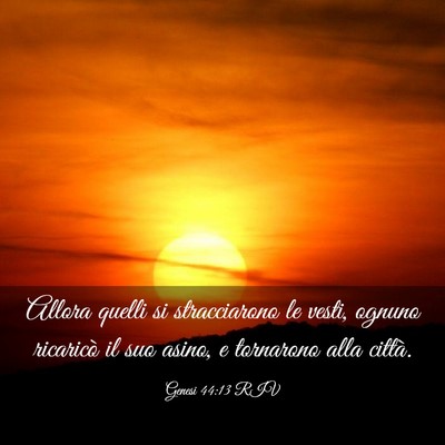 Picture 03 - Genesi 44:13 RIV - Allora quelli si stracciarono le vesti, ognuno - Bible Verse Picture