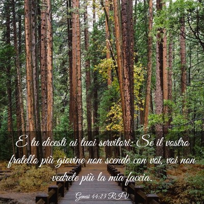 Picture 03 - Genesi 44:23 RIV - E tu dicesti ai tuoi servitori: Se il vostro - Bible Verse Picture