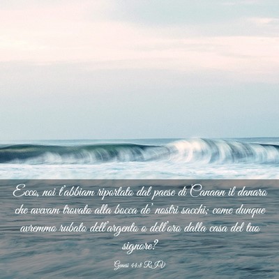 Picture 03 - Genesi 44:8 RIV - Ecco, noi t’abbiam riportato dal paese di - Bible Verse Picture