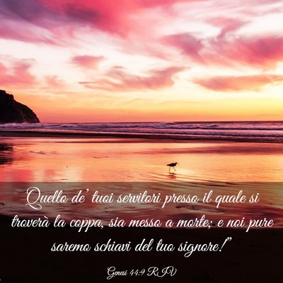 Picture 03 - Genesi 44:9 RIV - Quello de’ tuoi servitori presso il quale si - Bible Verse Picture