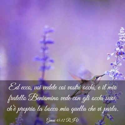 Picture 03 - Genesi 45:12 RIV - Ed ecco, voi vedete coi vostri occhi, e il mio - Bible Verse Picture
