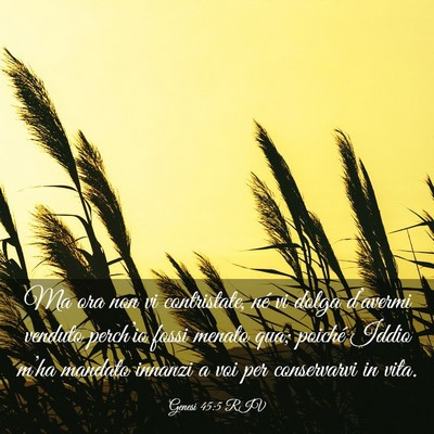 Picture 03 - Genesi 45:5 RIV - Ma ora non vi contristate, né vi dolga - Bible Verse Picture