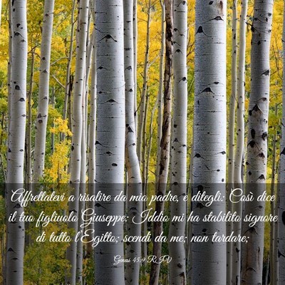 Picture 03 - Genesi 45:9 RIV - Affrettatevi a risalire da mio padre, e ditegli: - Bible Verse Picture