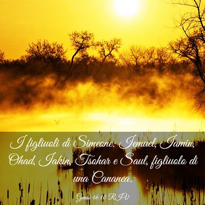 Picture 03 - Genesi 46:10 RIV - I figliuoli di Simeone: Iemuel, Iamin, Ohad, - Bible Verse Picture
