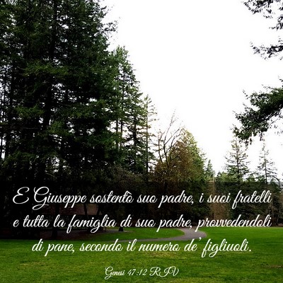 Picture 03 - Genesi 47:12 RIV - E Giuseppe sostentò suo padre, i suoi fratelli e - Bible Verse Picture