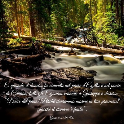 Picture 03 - Genesi 47:15 RIV - E quando il danaro fu esaurito nel paese - Bible Verse Picture