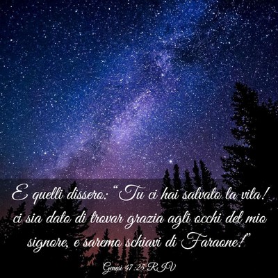 Picture 03 - Genesi 47:25 RIV - E quelli dissero: “Tu ci hai salvato la vita! - Bible Verse Picture