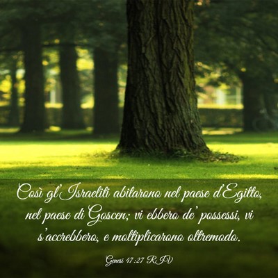 Picture 03 - Genesi 47:27 RIV - Così gl’Israeliti abitarono nel paese - Bible Verse Picture
