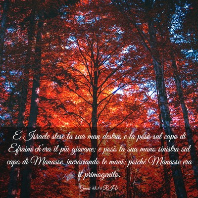 Picture 03 - Genesi 48:14 RIV - E Israele stese la sua man destra, e la posò sul - Bible Verse Picture