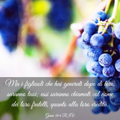 Picture 03 - Genesi 48:6 RIV - Ma i figliuoli che hai generati dopo di loro, - Bible Verse Picture