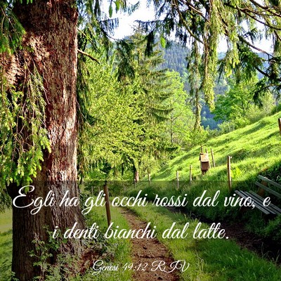 Picture 03 - Genesi 49:12 RIV - Egli ha gli occhi rossi dal vino, e i denti - Bible Verse Picture