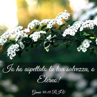 Picture 03 - Genesi 49:18 RIV - Io ho aspettato la tua salvezza, o - Bible Verse Picture