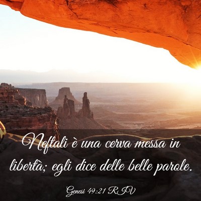 Picture 03 - Genesi 49:21 RIV - Neftali è una cerva messa in libertà; egli dice - Bible Verse Picture