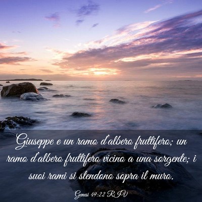 Picture 03 - Genesi 49:22 RIV - Giuseppe e un ramo d’albero fruttifero; un ramo - Bible Verse Picture