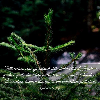 Picture 03 - Genesi 49:28 RIV - Tutti costoro sono gli antenati delle dodici - Bible Verse Picture