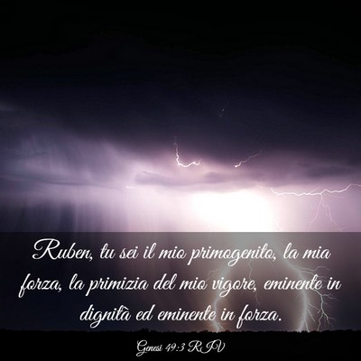 Picture 03 - Genesi 49:3 RIV - Ruben, tu sei il mio primogenito, la mia forza, - Bible Verse Picture