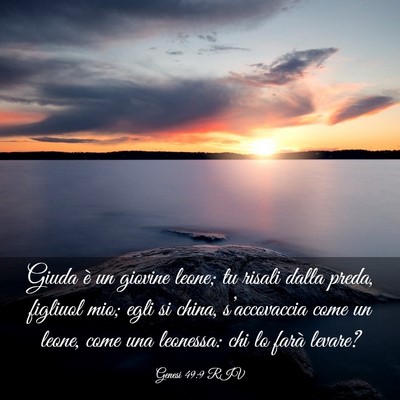 Picture 03 - Genesi 49:9 RIV - Giuda è un giovine leone; tu risali dalla preda, - Bible Verse Picture