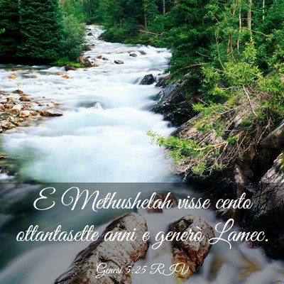 Picture 03 - Genesi 5:25 RIV - E Methushelah visse cento ottantasette anni e - Bible Verse Picture