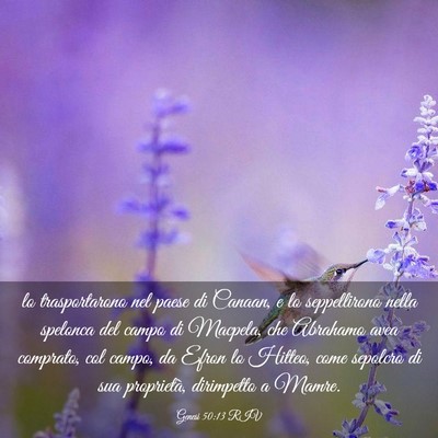Picture 03 - Genesi 50:13 RIV - lo trasportarono nel paese di Canaan, e lo - Bible Verse Picture